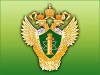 смотреть подробнее...